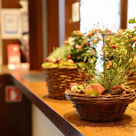 Otel Du Marche Lozan